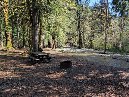 River Running Through Dewatto Camp Ground