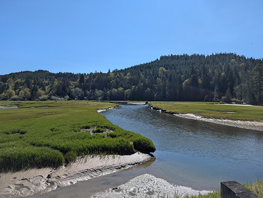 View from Tahuya North Shore Rd